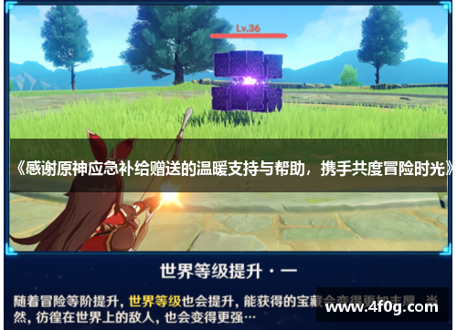 《感谢原神应急补给赠送的温暖支持与帮助，携手共度冒险时光》