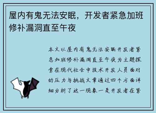 屋内有鬼无法安眠，开发者紧急加班修补漏洞直至午夜